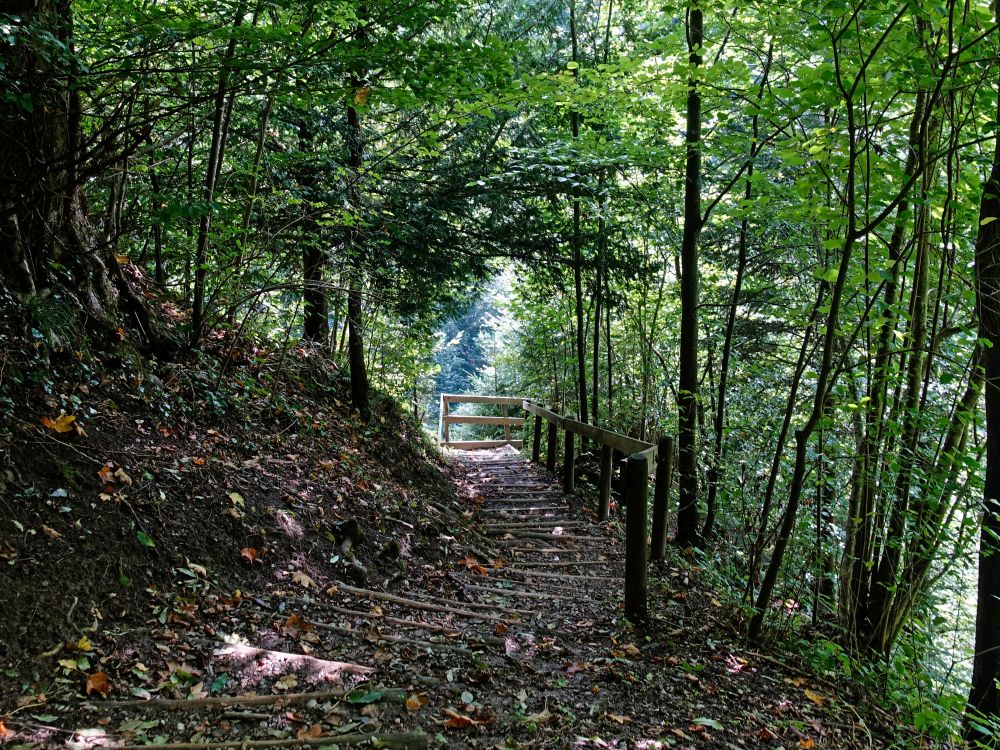 Treppe im Wald