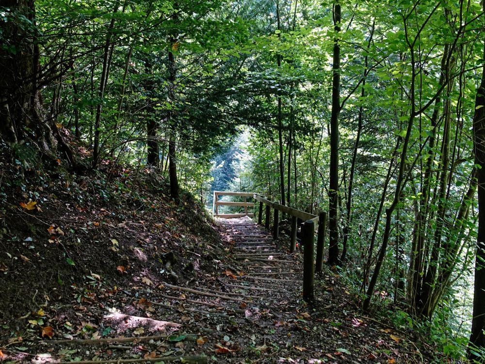 Treppe im Wald