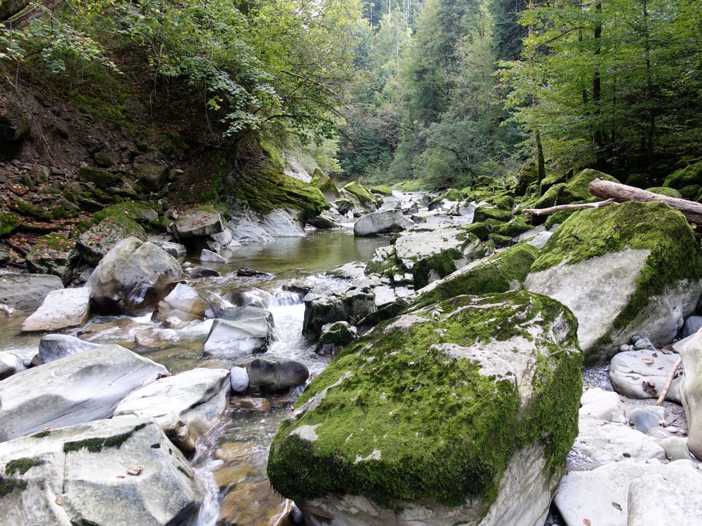 Felsen in der Sitter