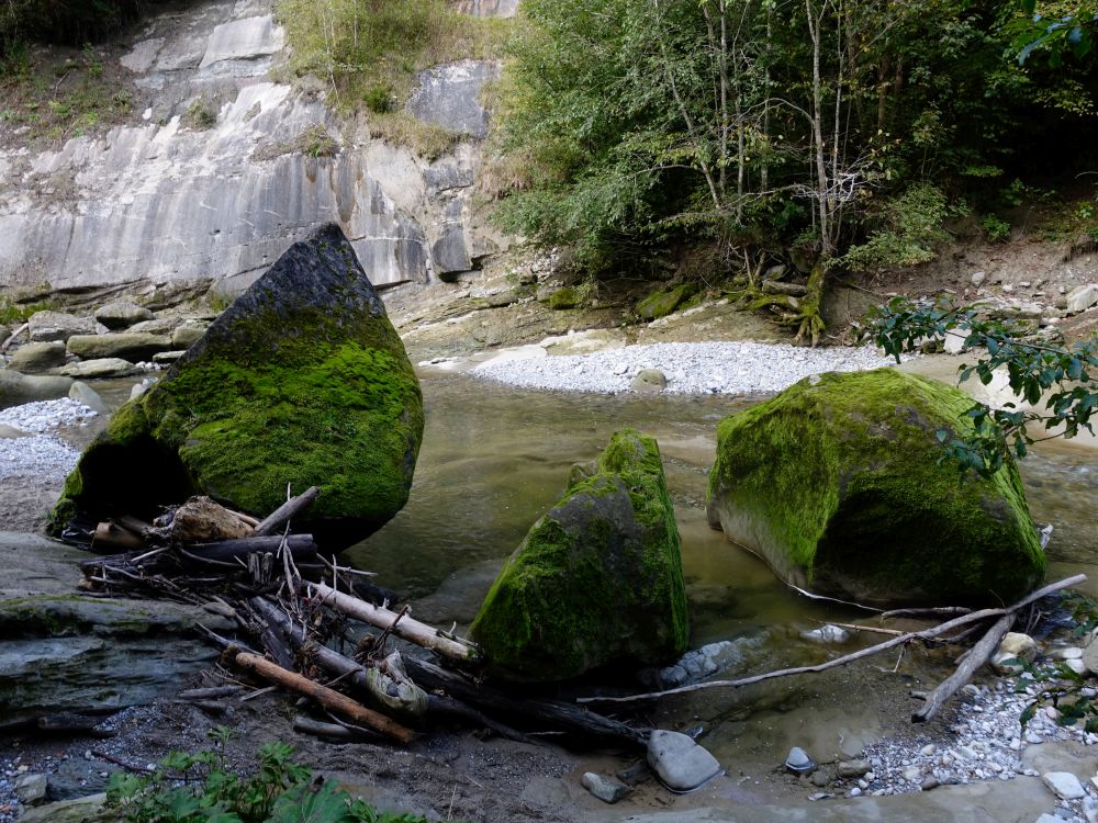 Felsen in der Sitter