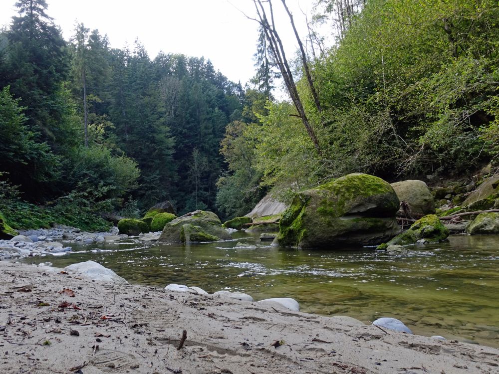 Felsen in der Sitter