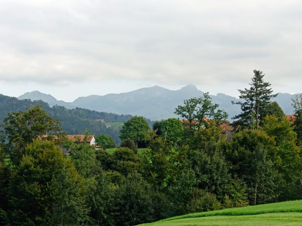 Fähnerenspitz, Kamor und Hoher Kasten