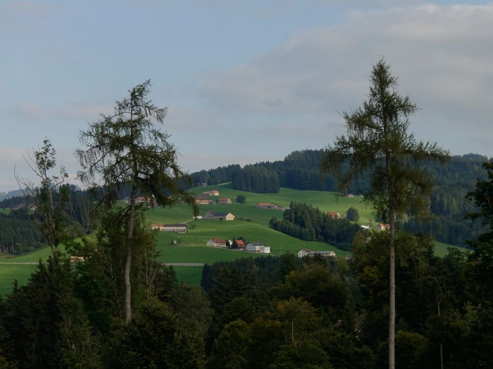 verstreute Bauernhöfe