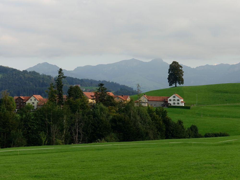 Gundholz mit Fähnerenspitz, Kamor und Hoher Kasten