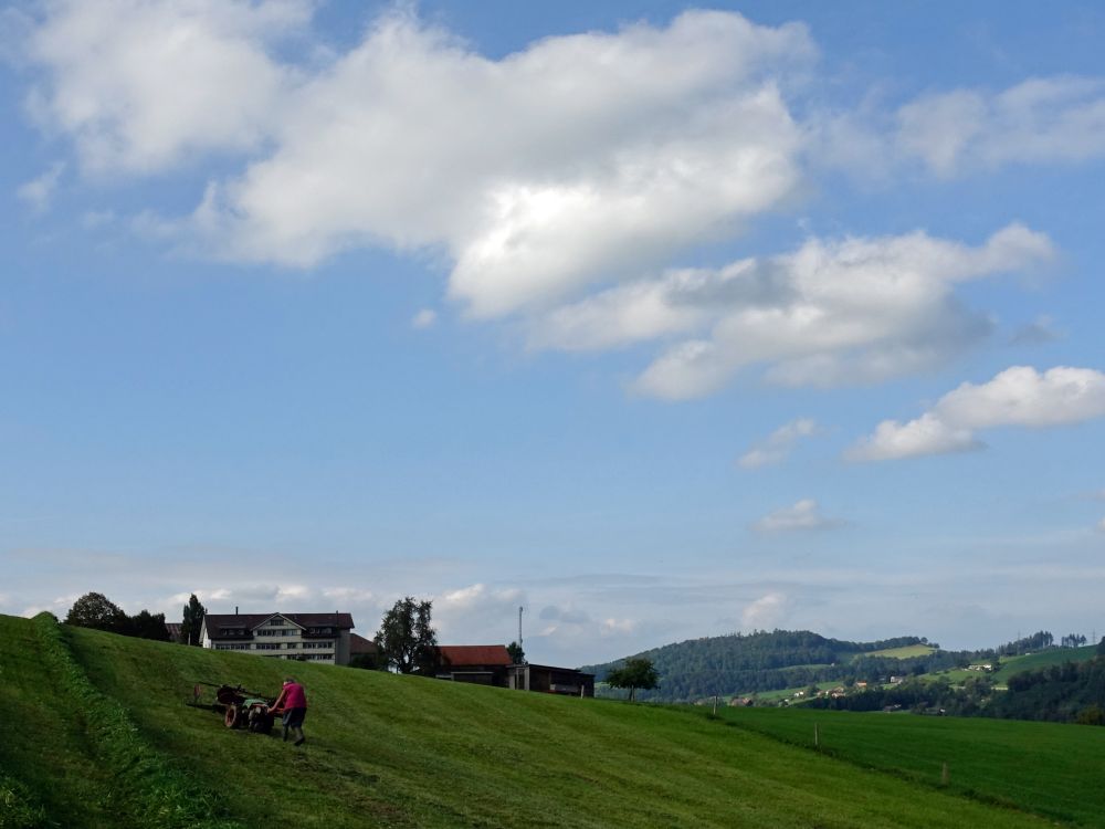 Blick Richtung Büel