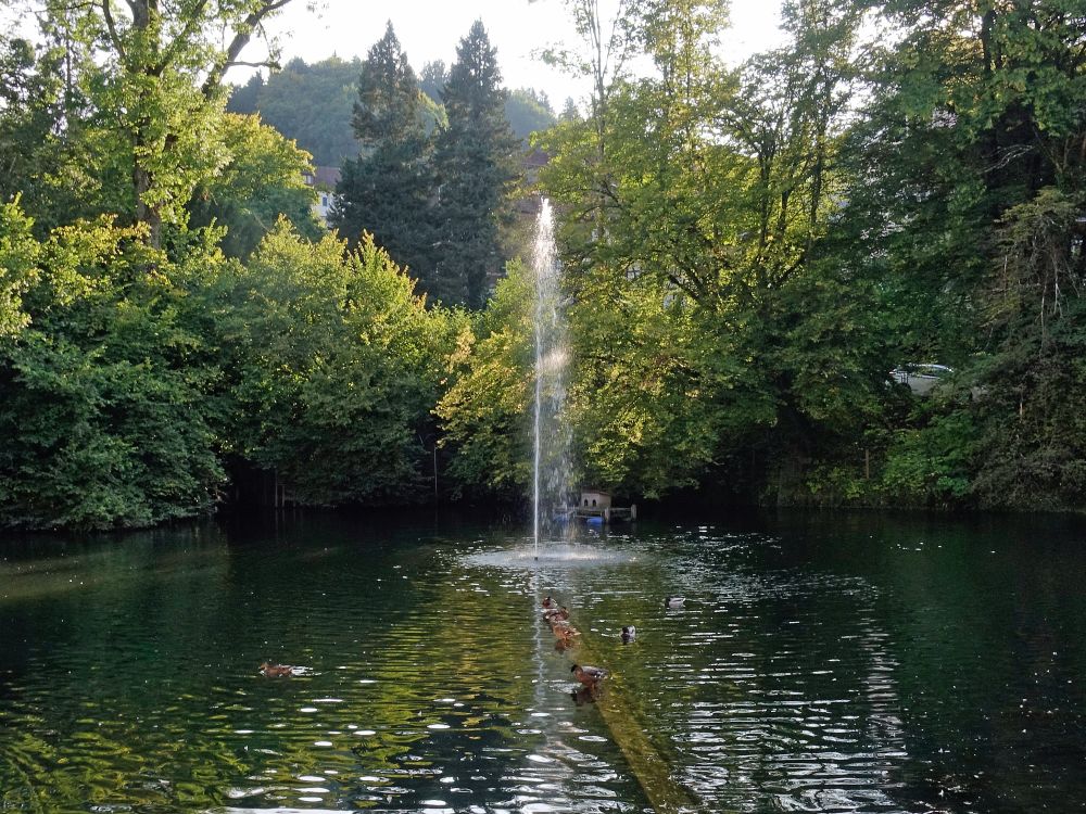 Mühleggweier mit Fontaine