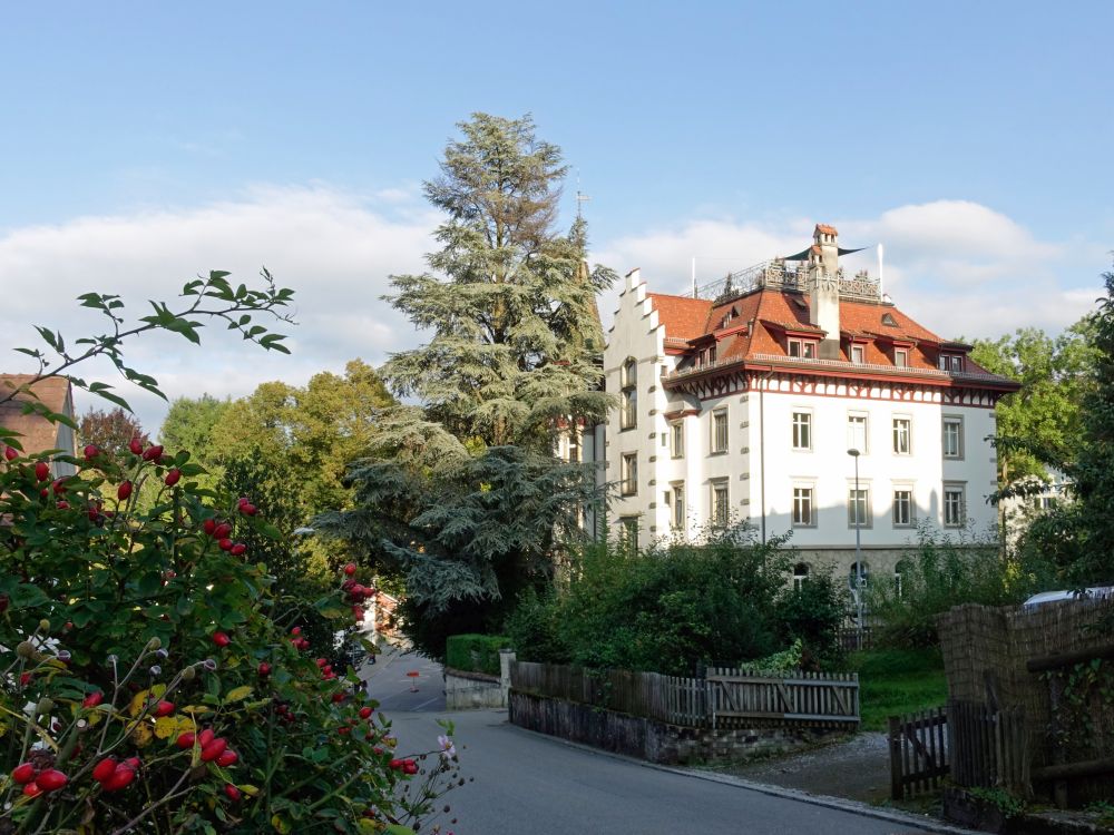 Haus an der Falkenburgstrasse