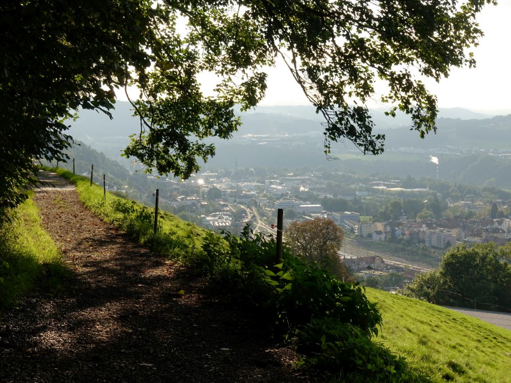 Blick vom Panoramaweg