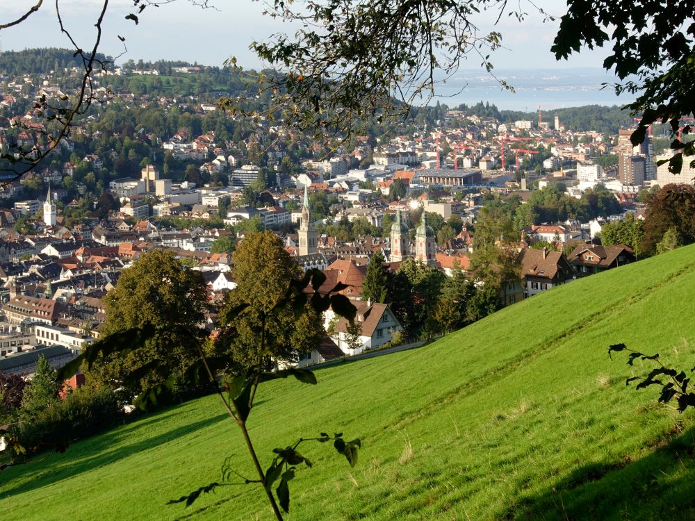 Blick über St. Gallen bis zum Bodensee