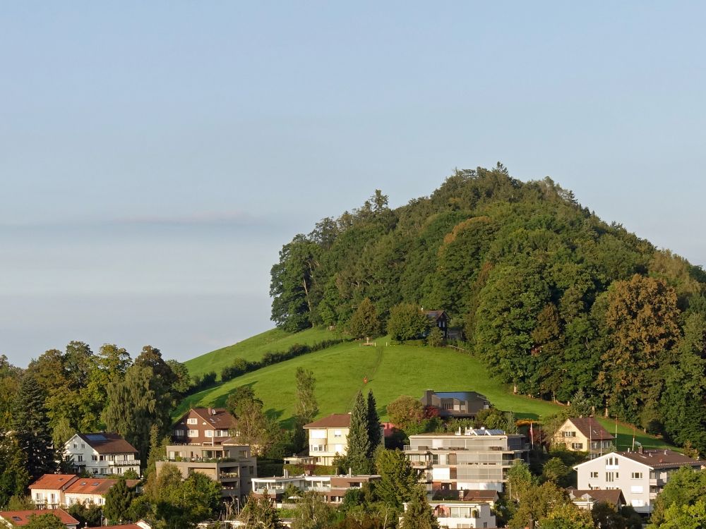 Blick zum Vogelherd