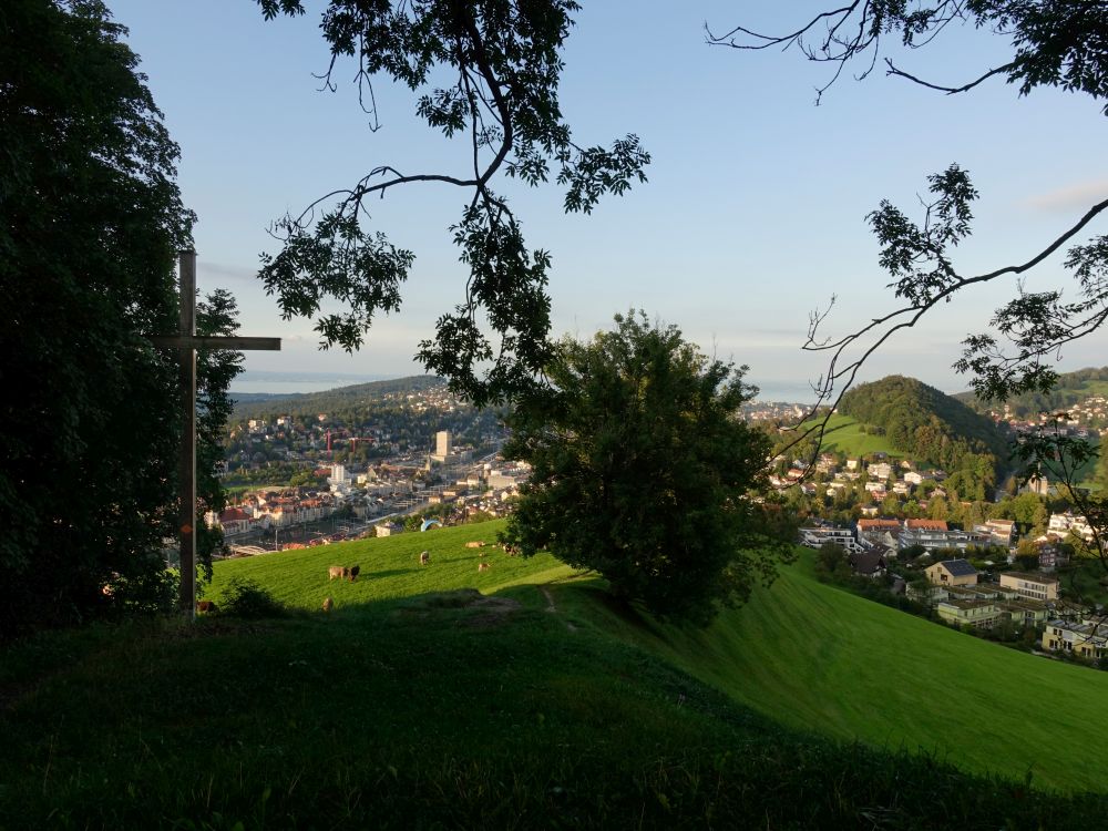 Kreuz bei Solitüde mit Blick auf St. Gallen