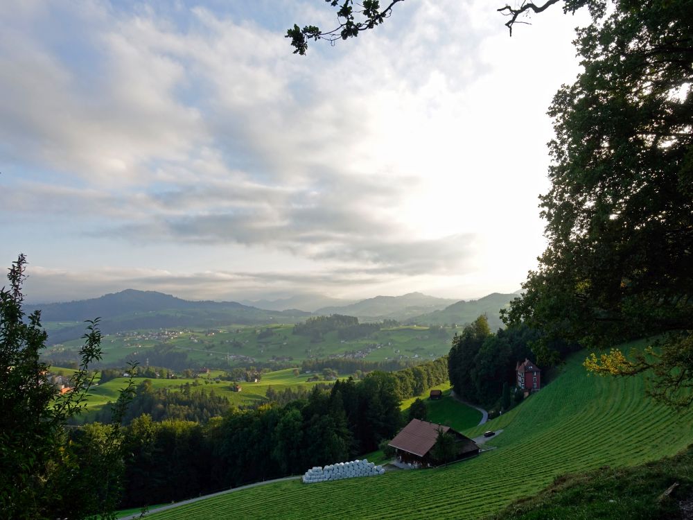 Blick in Appenzellerland