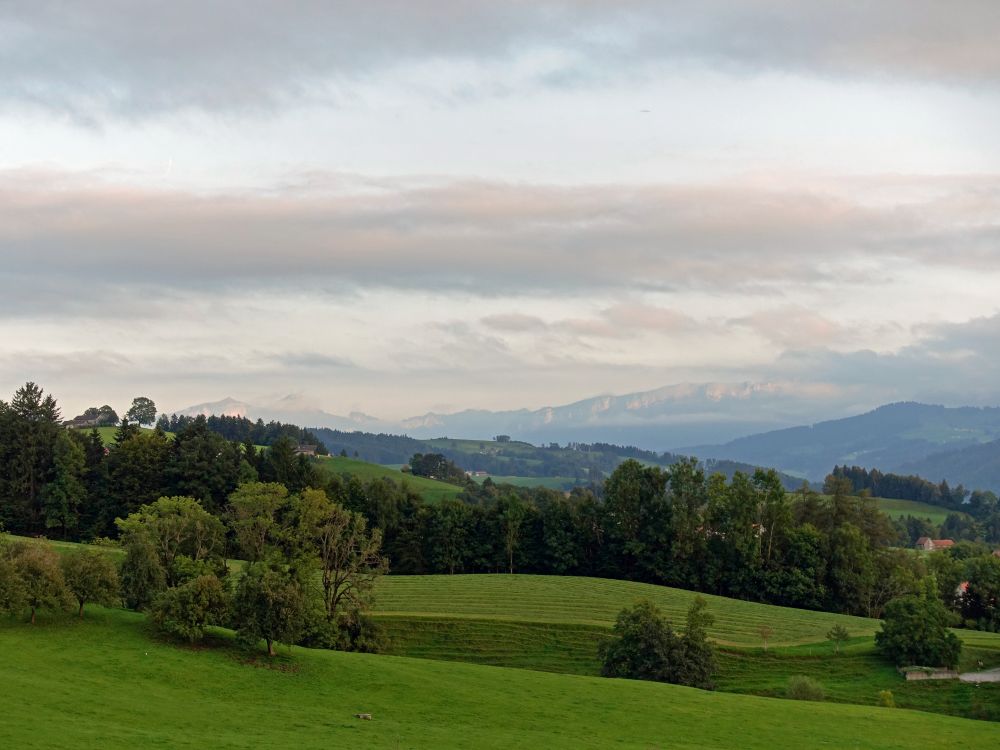 Kamor, Hoher Kasten und Stäntis in Wolken