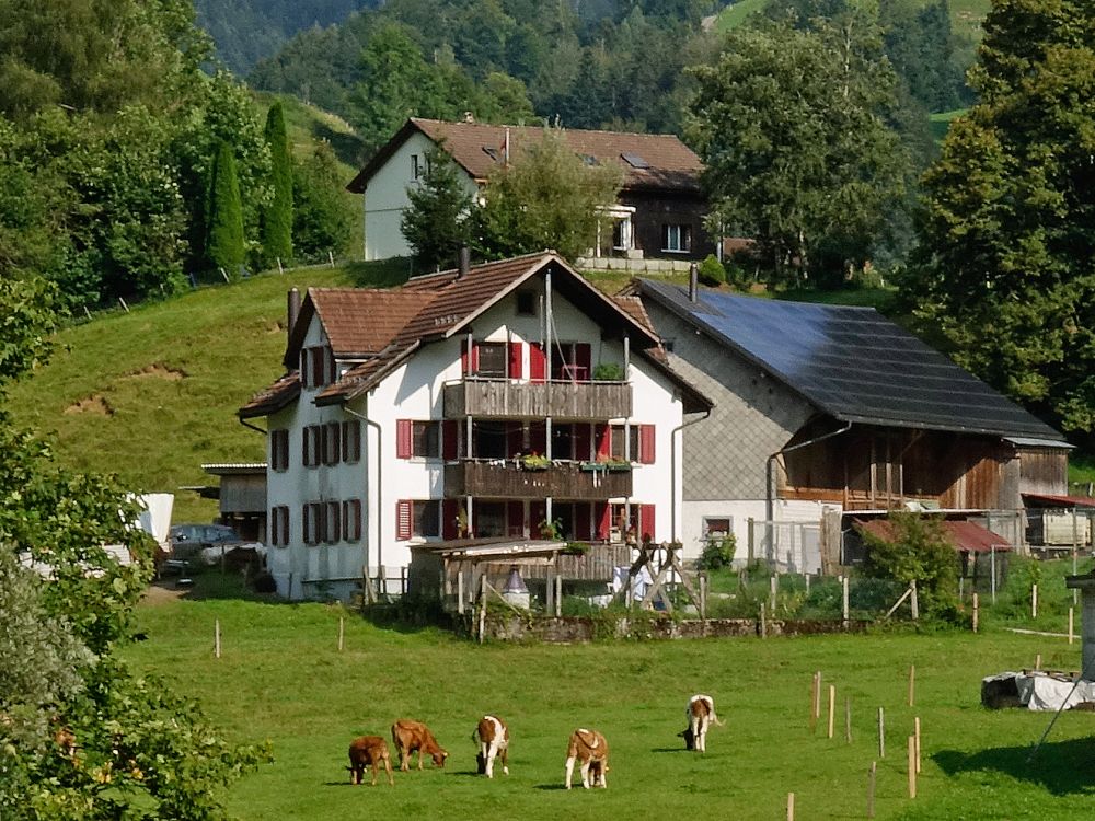 Haus in Altschwändi