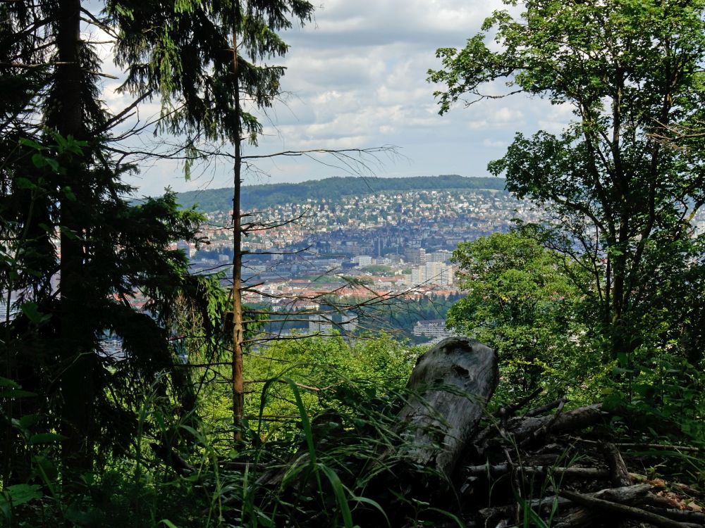 Blick auf Zürich