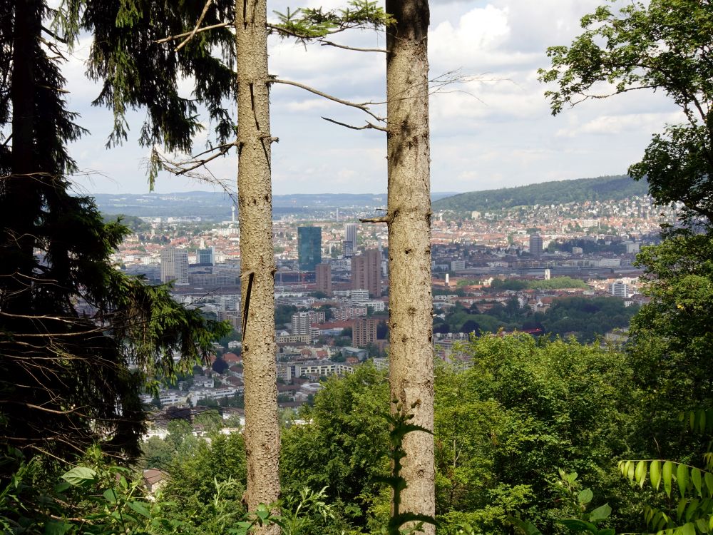 Blick auf Zürich