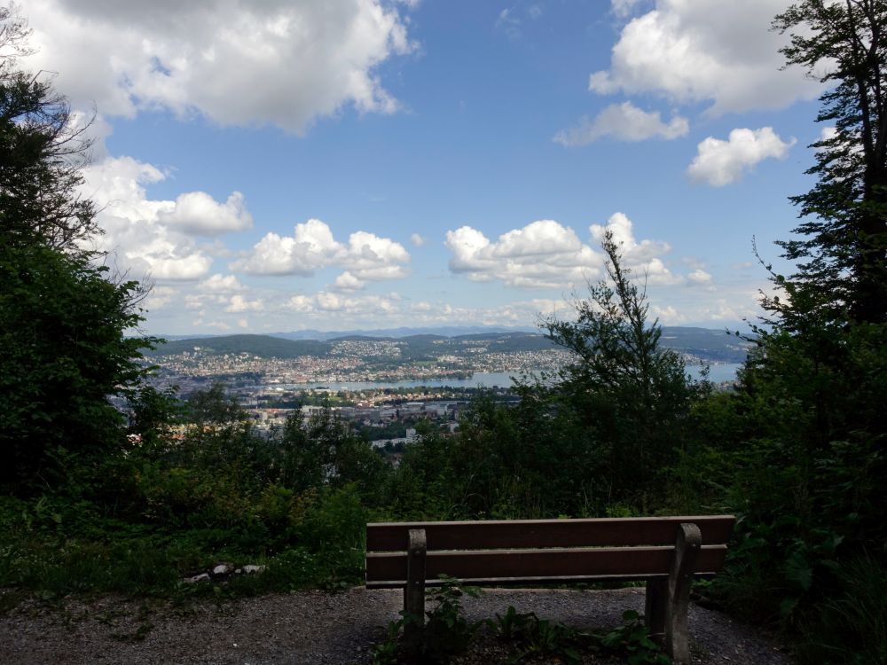 Blick auf Zürich