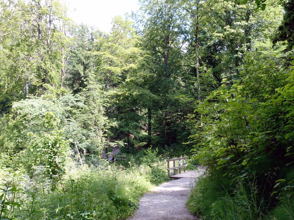 Waldweg