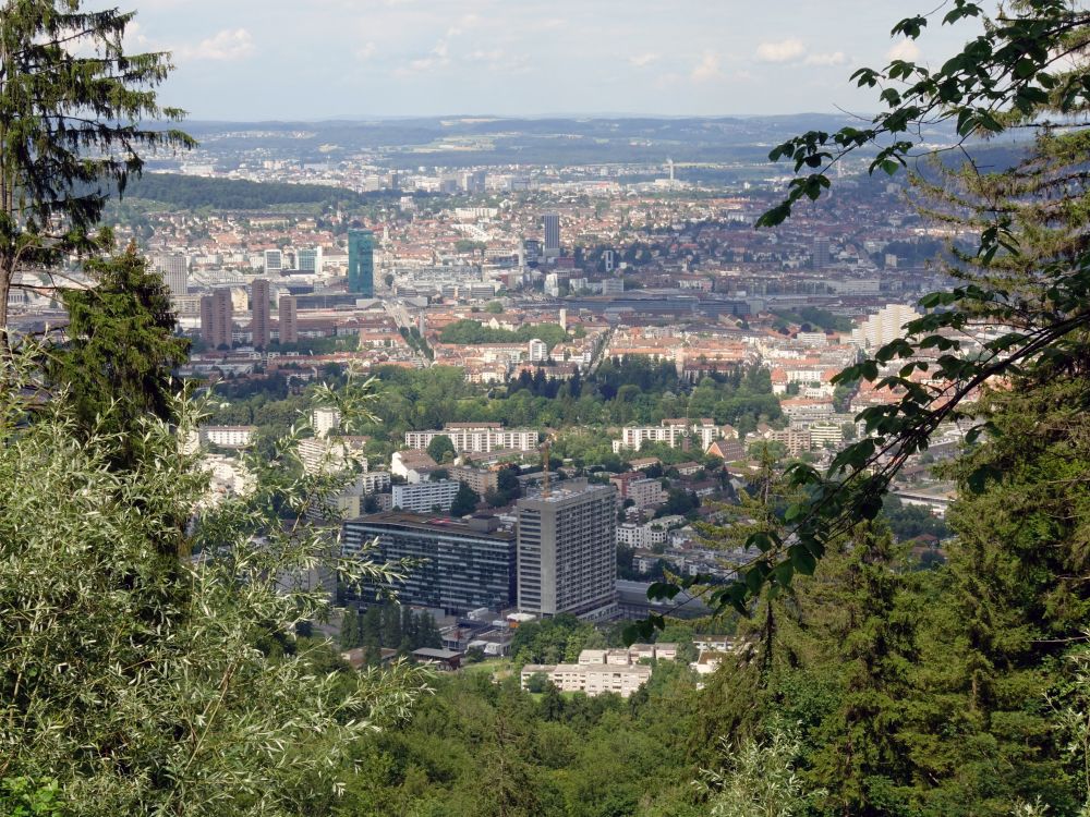 Blick auf Zürich