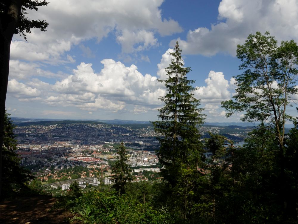 Blick auf Zürich