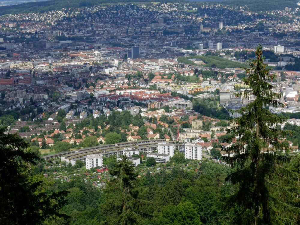 Blick auf Zürich