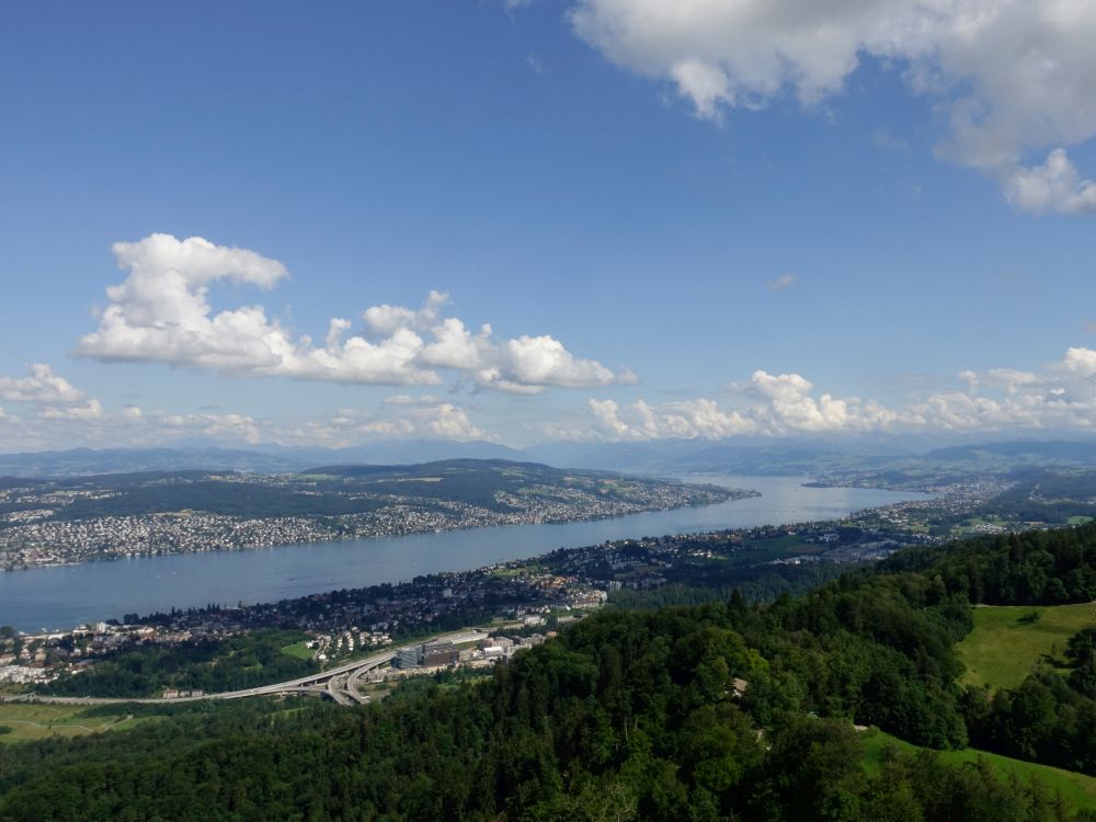 Zürichsee