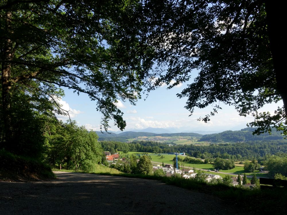 Blick auf Ringlikon