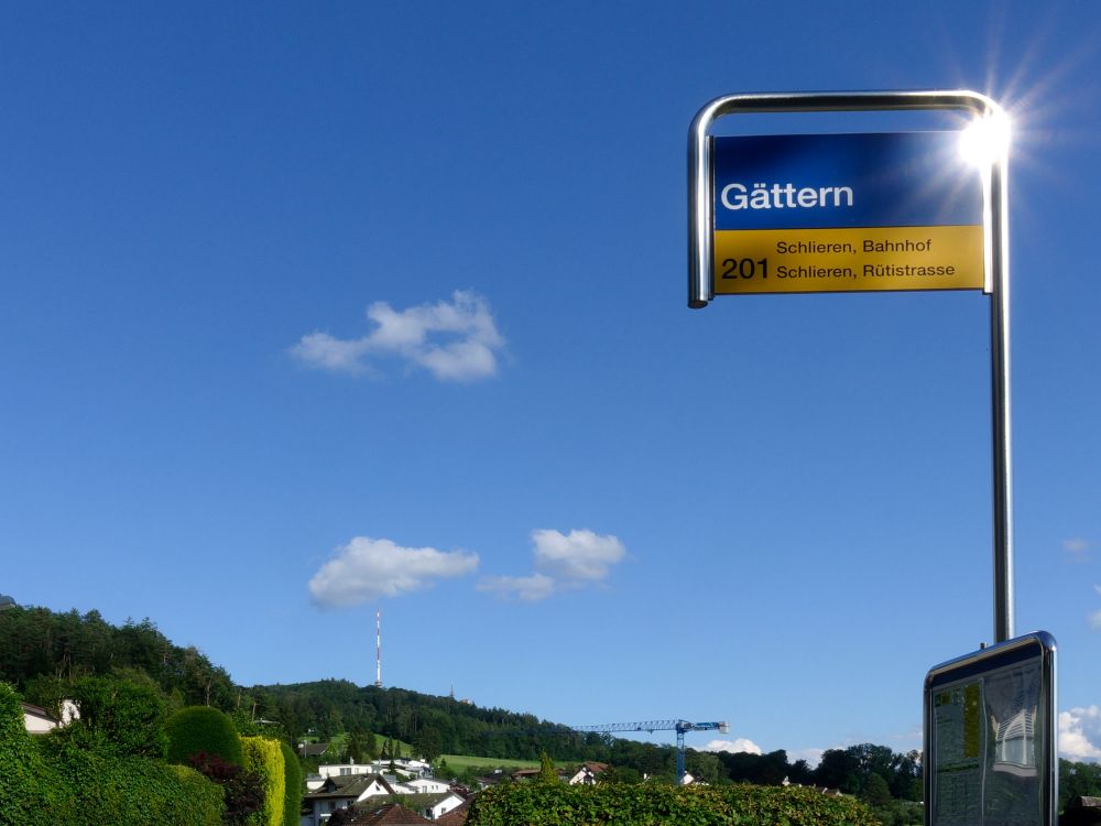 Blick zum Uetliberg