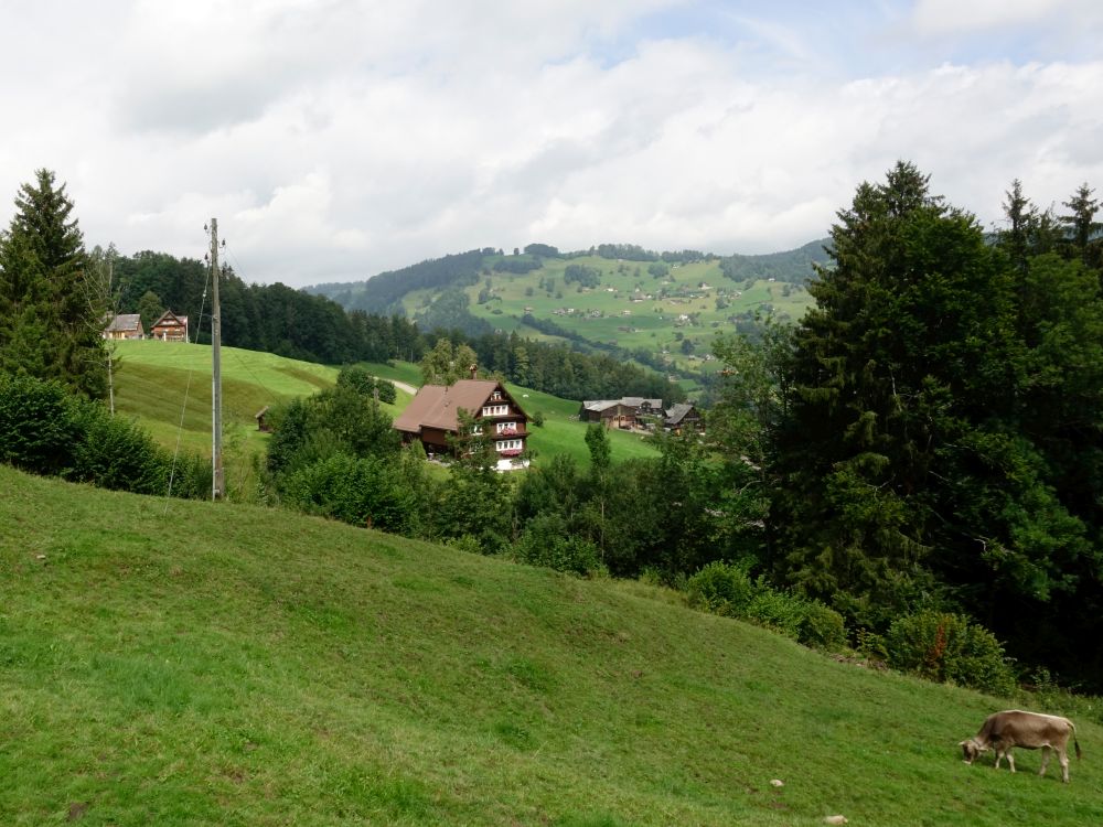 Bauernhaus