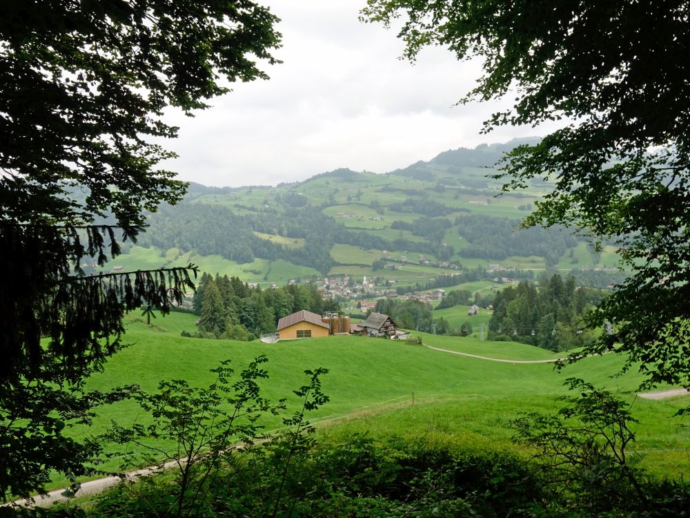 Blick auf Krummenau