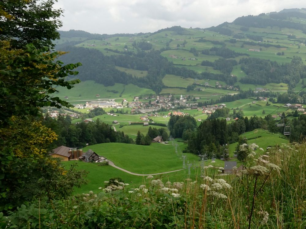 Blick auf Krummenau