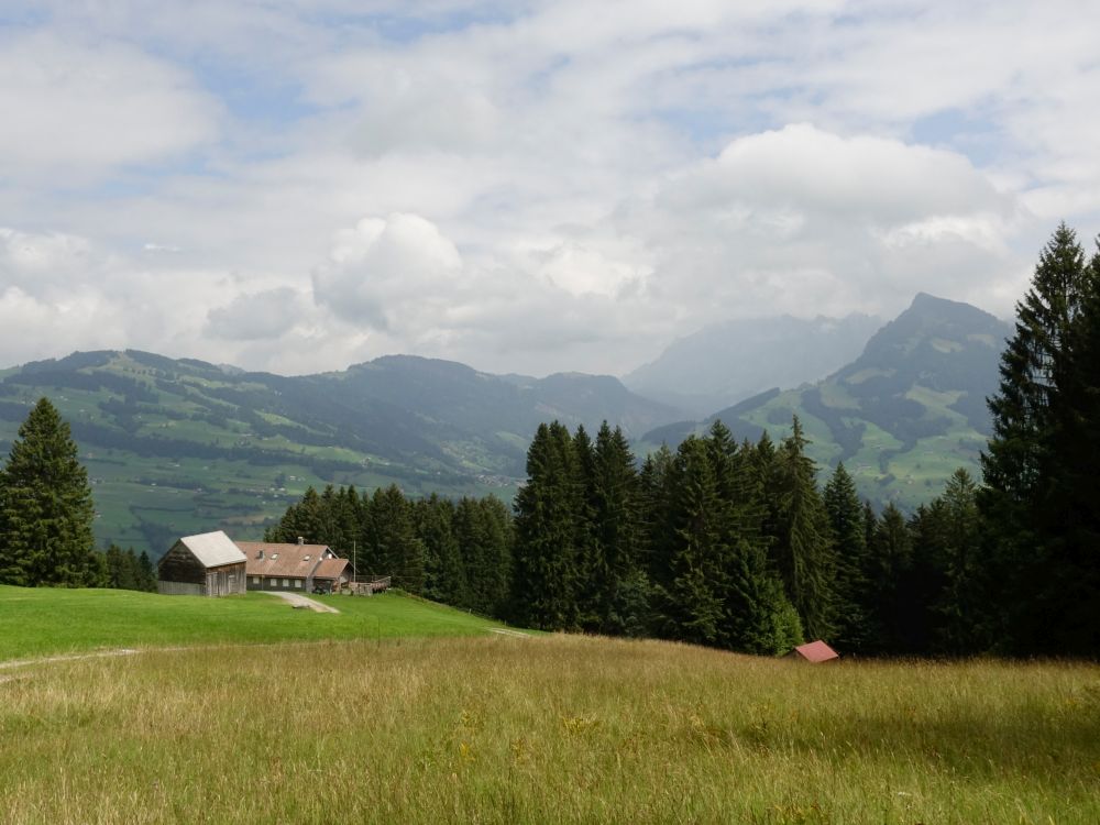 Hinterfallenchopf und Stockberg