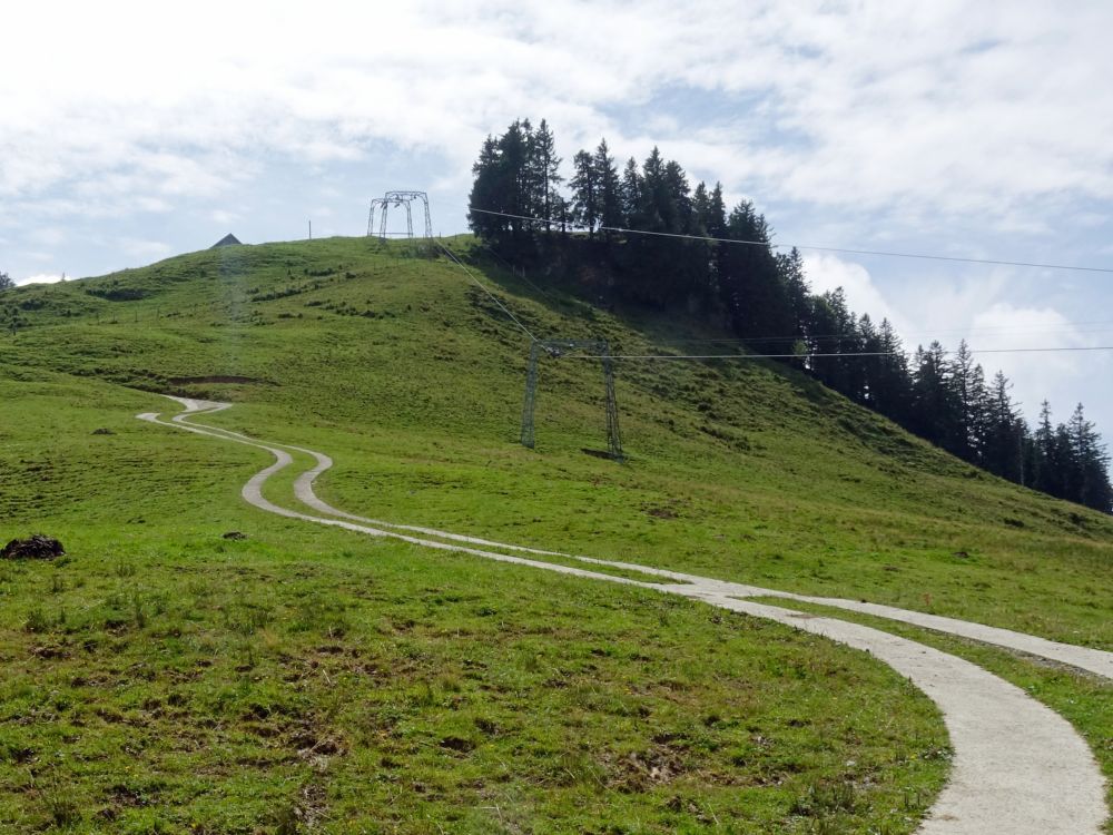 kurviger Bergweg