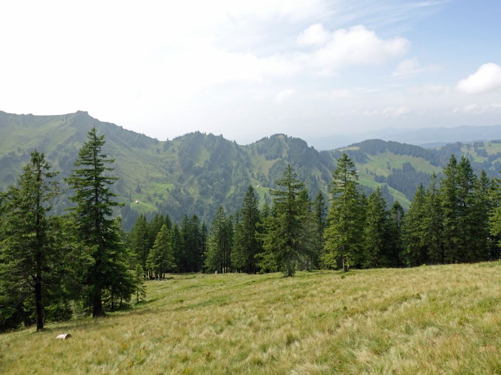 Blick Richtung Tanzboden