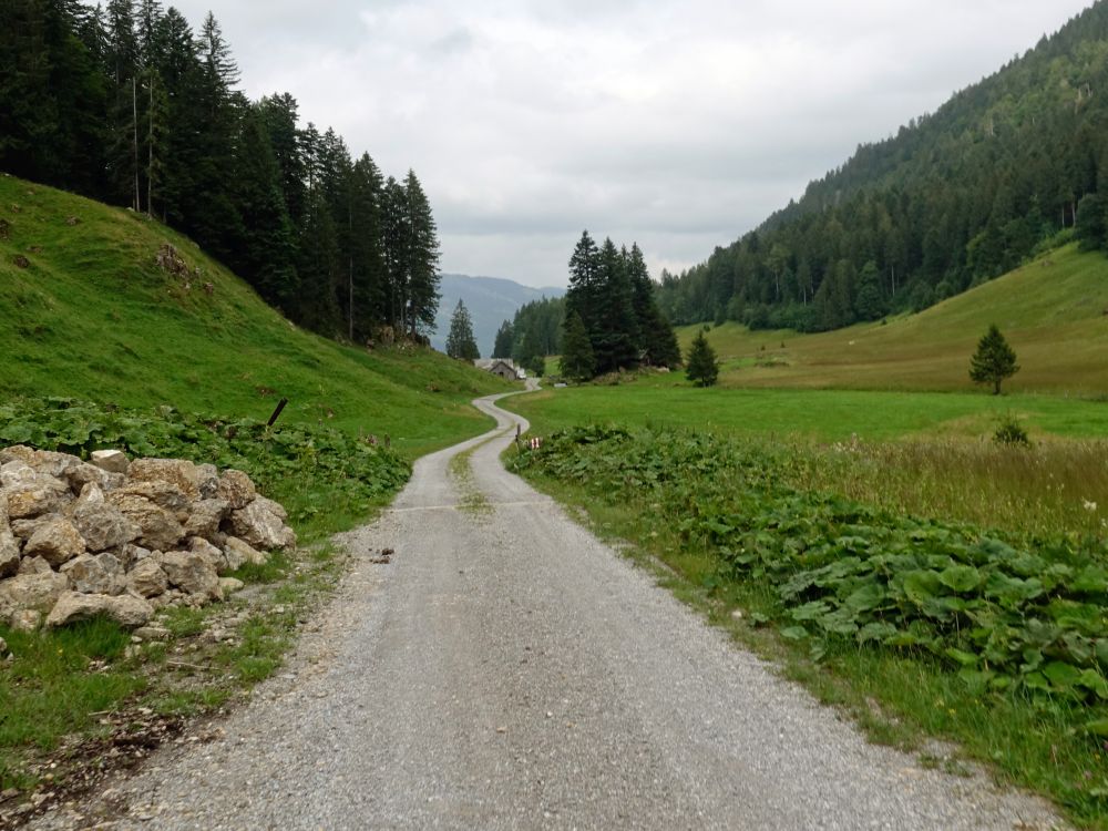 Weg im Ijental