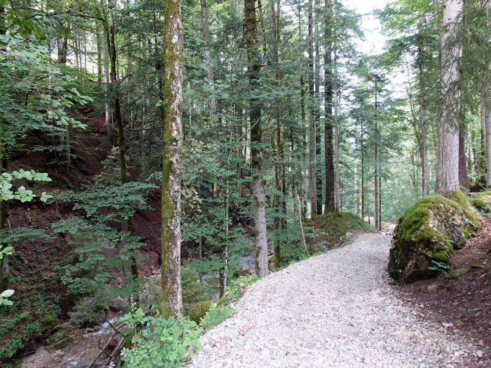 Wanderweg am Ijentaler Bach