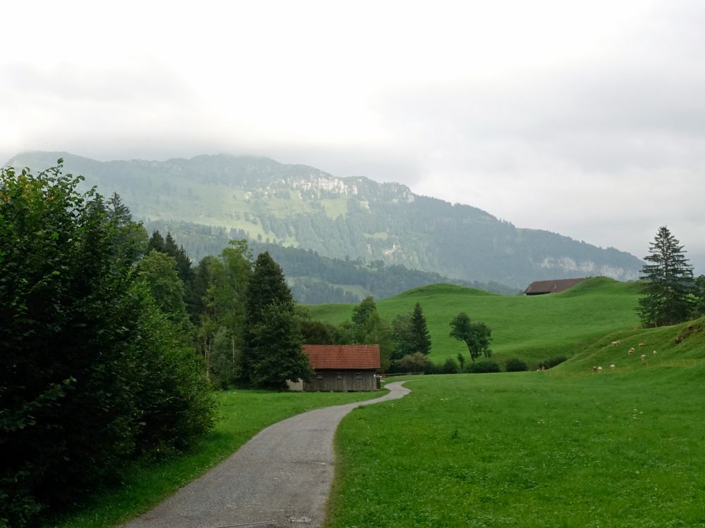 Blick Richtung Neuenalpspitz