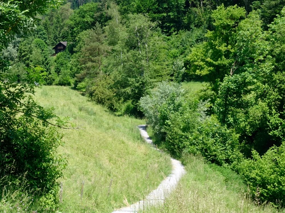 Wanderweg am Dorfbach