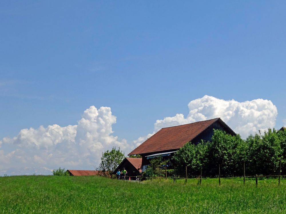 Bauernhof bei Tüfenwies