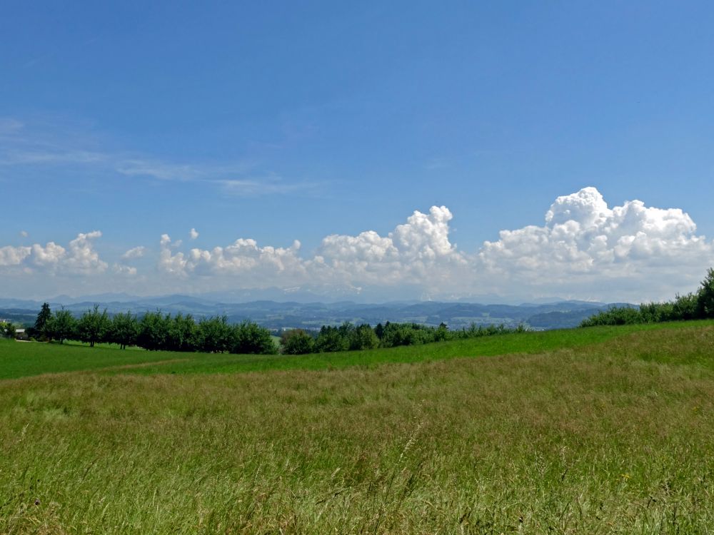 Alpenblick