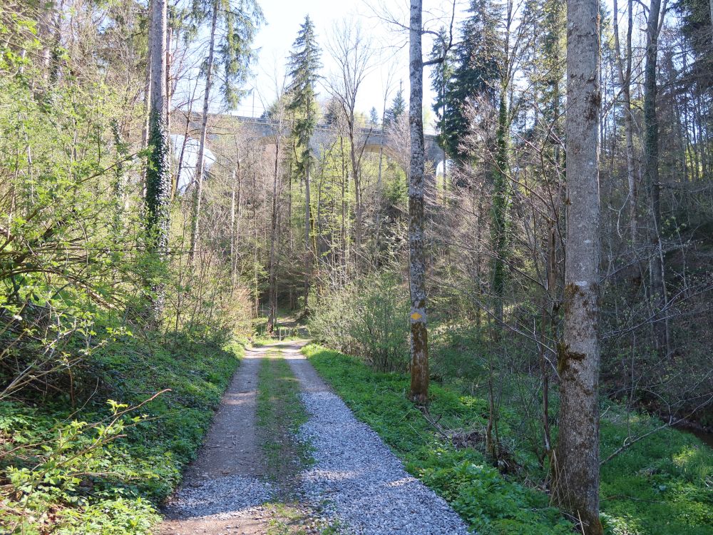 Viadukt am Spitzmülitobel