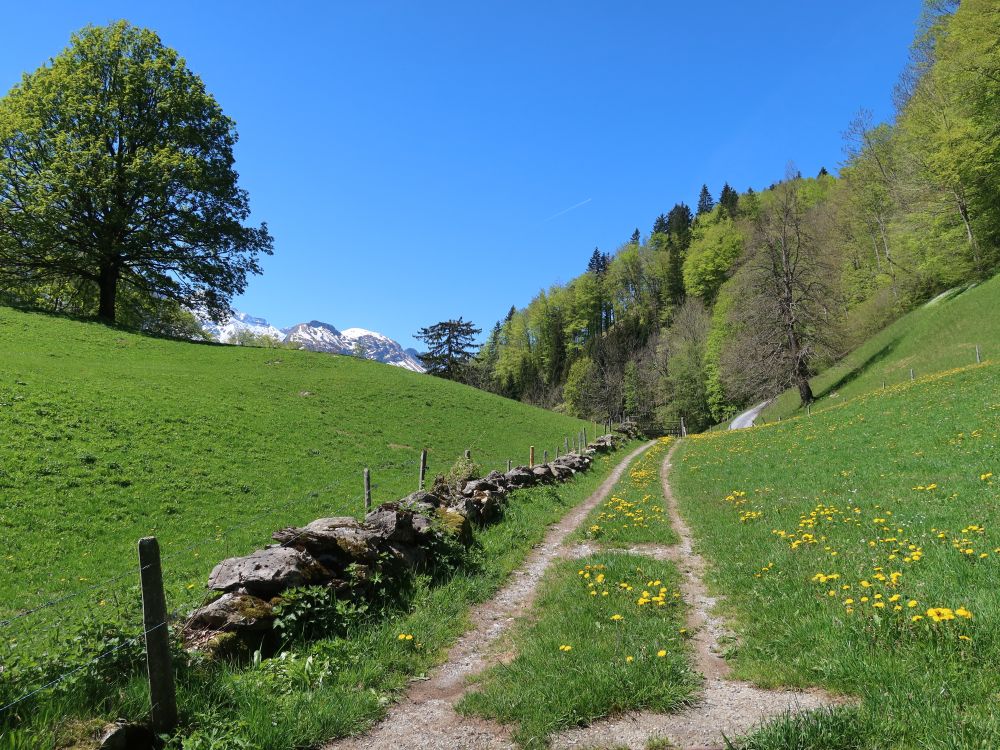 Weg mit Grenzmauer bei Wighüs