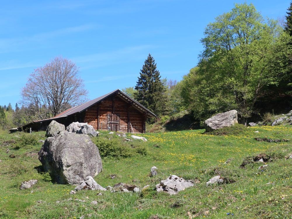 Hütte am Älpeli