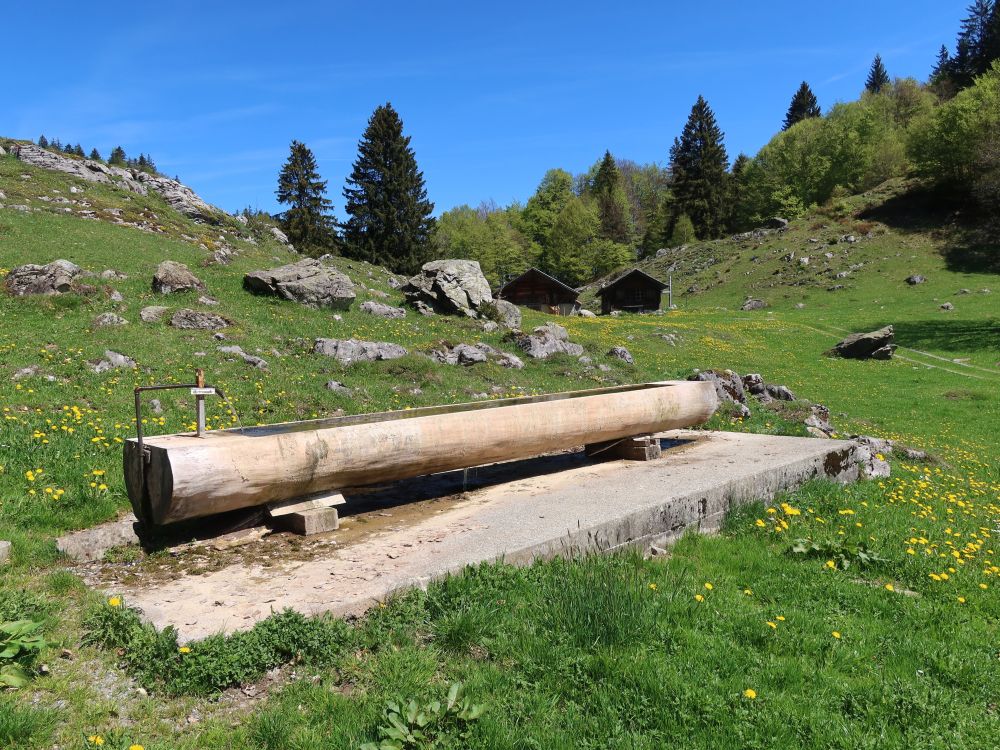 Brunnen am Älpeli