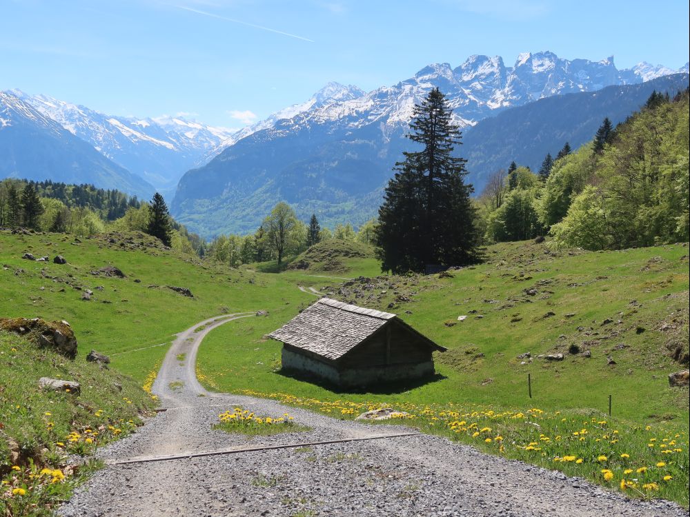 Alpli und Blick ins Haslital