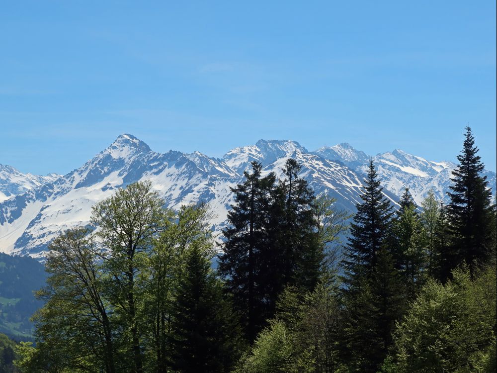 Berner Alpen