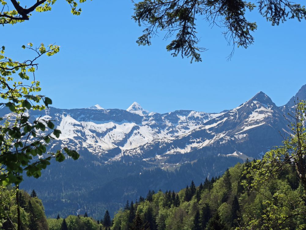 Berner Alpen