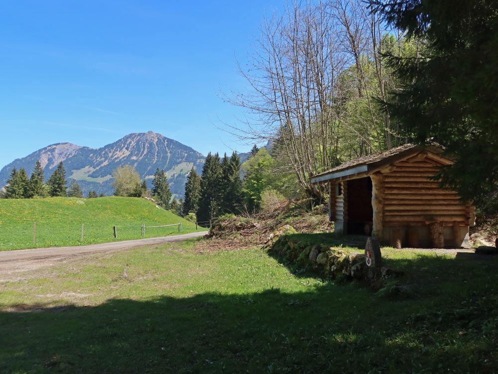 Schutzhütte bei Rüti