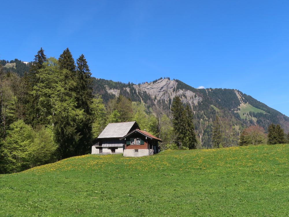 Rüti und Bergstation Turren