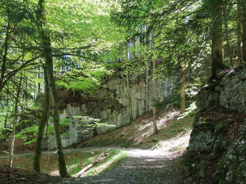 Felswand im Chluiswald